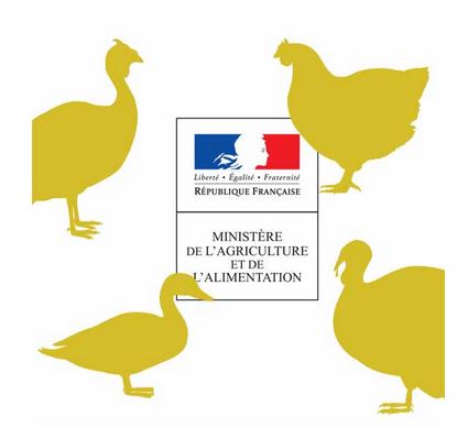 Recensement des oiseaux
