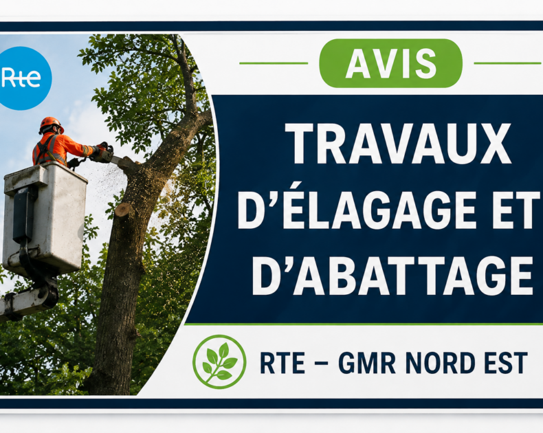 TRAVAUX D&rsquo;ELAGAGE ET ABATTAGE